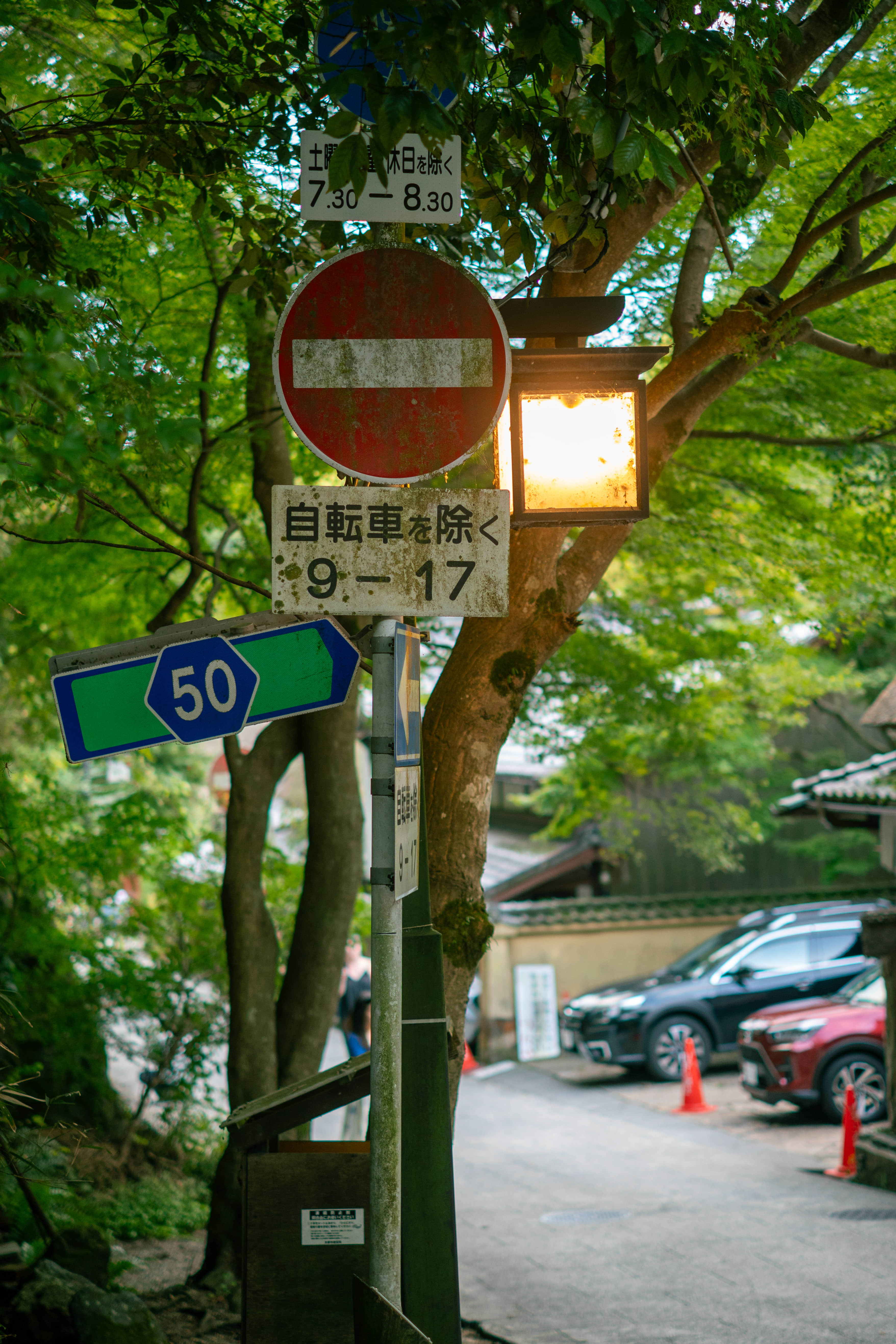 京都-岚山