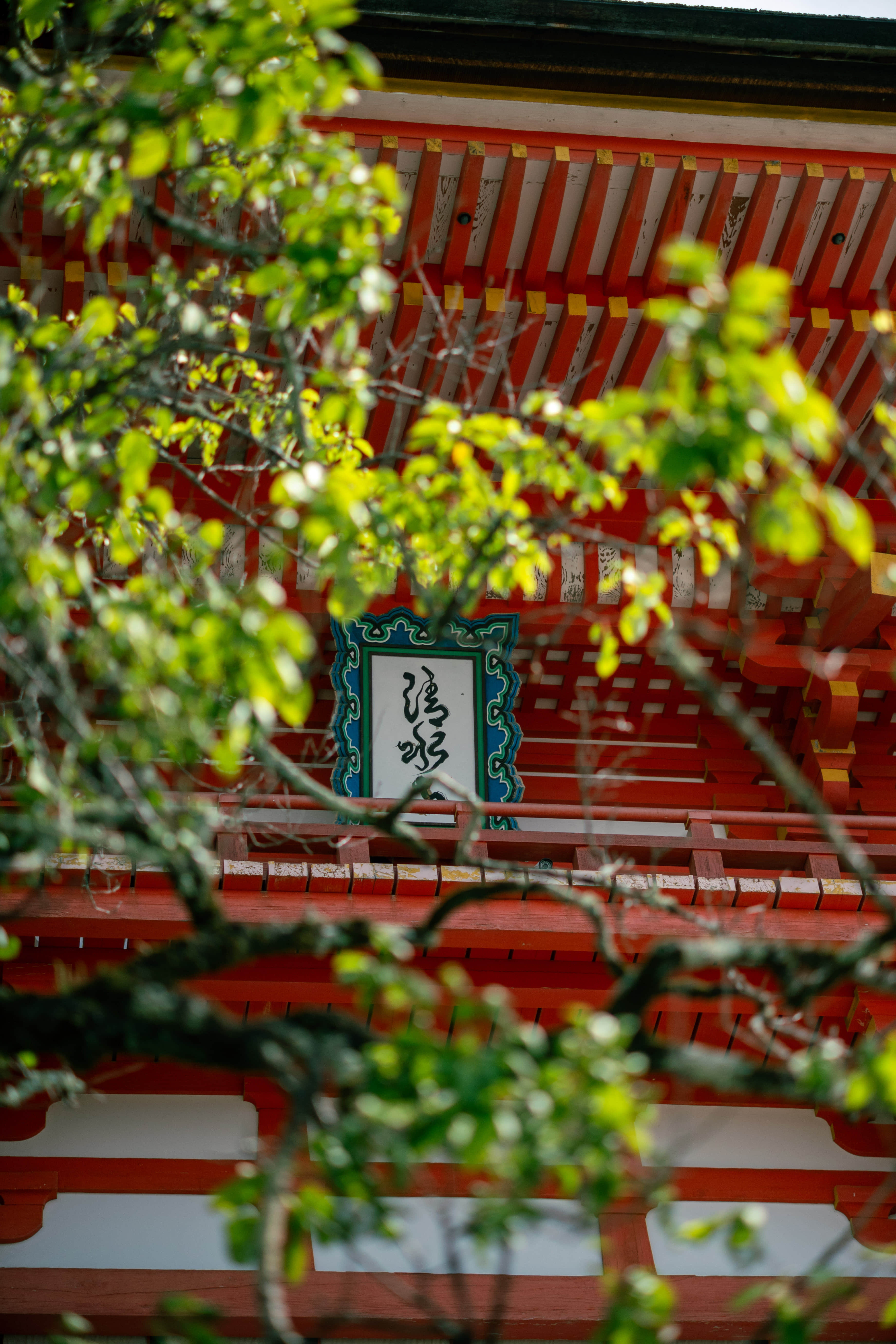 京都-清水寺